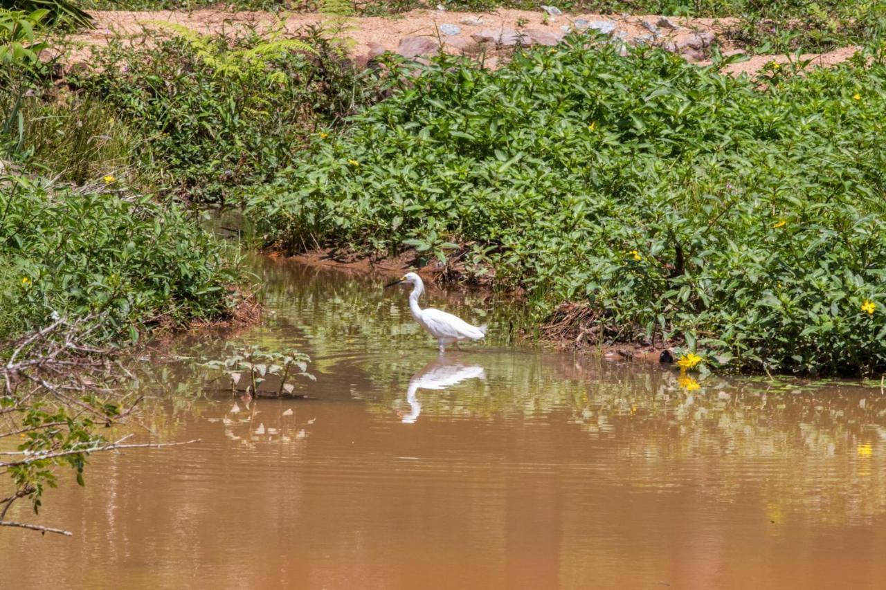 Villaggio Serra Da Cantareira Mairiporã المظهر الخارجي الصورة