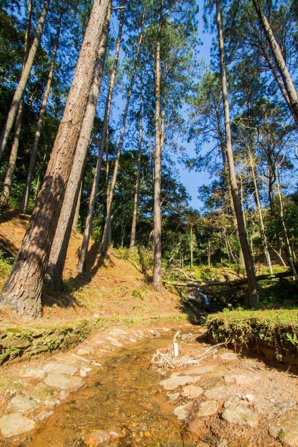 Villaggio Serra Da Cantareira Mairiporã المظهر الخارجي الصورة
